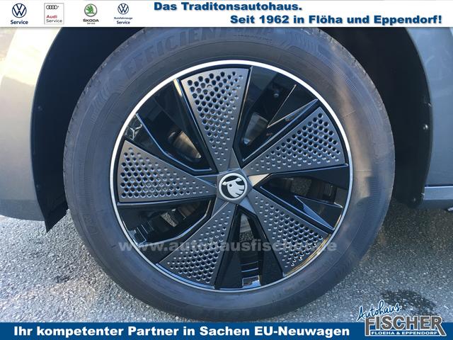 Skoda Kamiq 1.0 TSI DSG Monte Carlo AHK behWSS RFK Ass.Paket Plus 