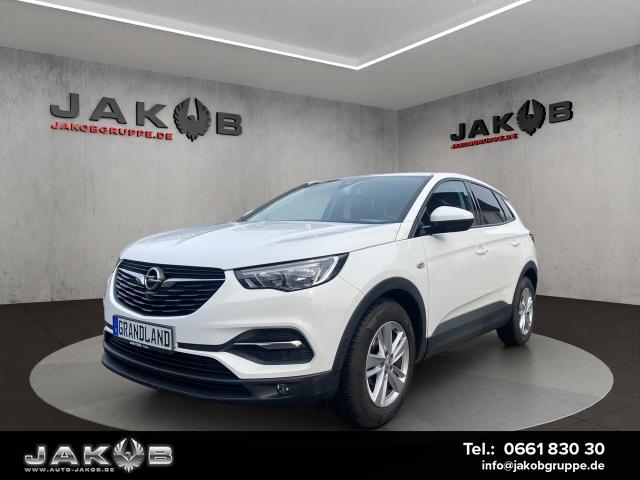 Opel Grandland - X 1.2 Turbo Business Edition +Winterradsatz