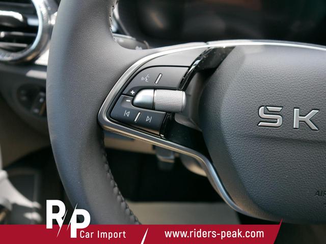 Skoda Fabia 130 Jahre 1,0 MPI *LED*PDC HI.*RFK*APP-CONNECT*SHZ*KESSY*KLIMA*DAB* 