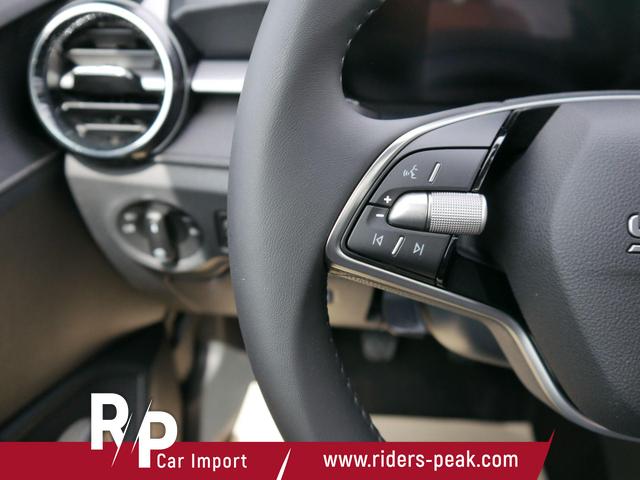 Skoda Fabia 130 Jahre Selection Plus 1,0 TSI *LED*PDC*SHZ*KAMERA*DIG-COCKPIT 