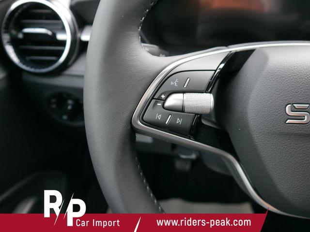 Skoda Fabia 130 Jahre 1,0 MPI *LED*PDC HI.*RFK*APP-CONNECT*SHZ*KESSY*KLIMA*DAB* 