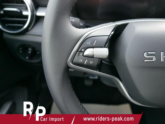 Skoda Fabia 130 Jahre 1,0 MPI*LED*PDC HI.*RFK*APP-CONNECT*SHZ*KESSY*KLIMA*DAB* 