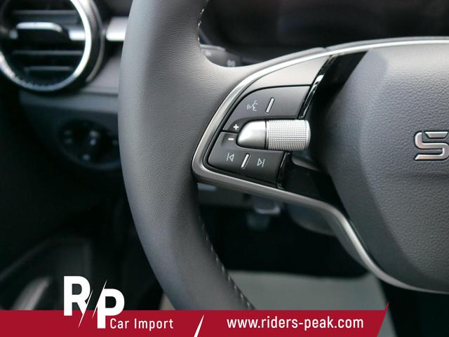 Skoda Fabia 130 Jahre 1,0 MPI *LED*PDC HI.*RFK*APP-CONNECT*SHZ*KESSY*KLIMA*DAB* 