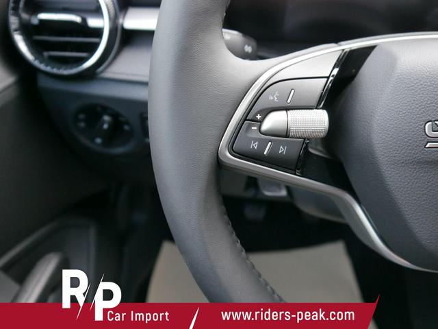 Skoda Fabia 130 Jahre 1,0 MPI *LED*PDC HI.*RFK*APP-CONNECT*SHZ*KESSY*KLIMA*DAB* 
