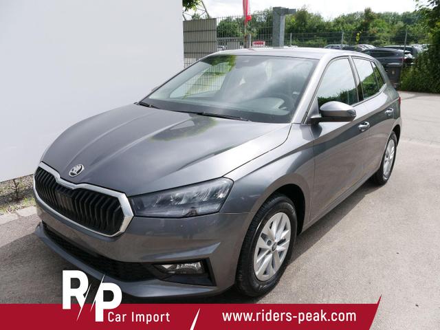 Skoda Fabia - 130 Jahre Selection Plus 1,0 TSI*LED*PDC*SHZ*KAMERA*DIG-COCKPIT
