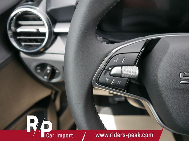 Skoda Fabia 130 Jahre Selection Plus 1,0 TSI*LED*PDC*SHZ*KAMERA*DIG-COCKPIT 