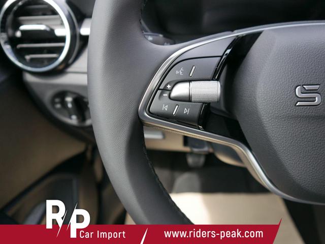 Skoda Fabia 130 Jahre Selection Plus 1,0 TSI*LED*PDC*SHZ*KAMERA*DIG-COCKPIT 