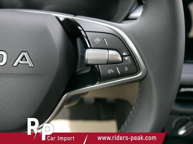 Skoda Fabia 130 Jahre Selection Plus 1,0 TSI*LED*PDC*SHZ*KAMERA*DIG-COCKPIT 