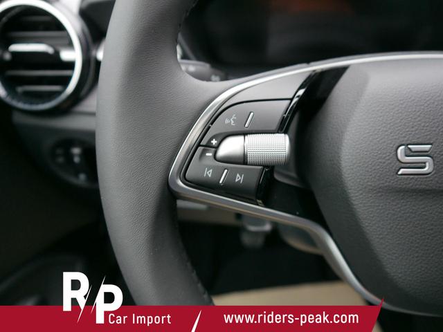 Skoda Fabia 130 Jahre 1,0 MPI*LED*PDC HI.*RFK*APP-CONNECT*SHZ*KESSY*KLIMA*DAB* 
