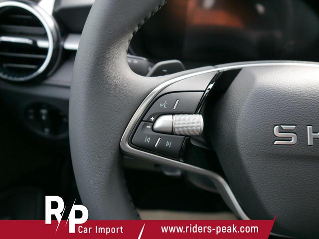 Skoda Fabia 130 Jahre Selection Plus 1,0 TSI DSG*SMARTLINK*PDC*KAMERA*LED*SHZ* 15 ZOLL 