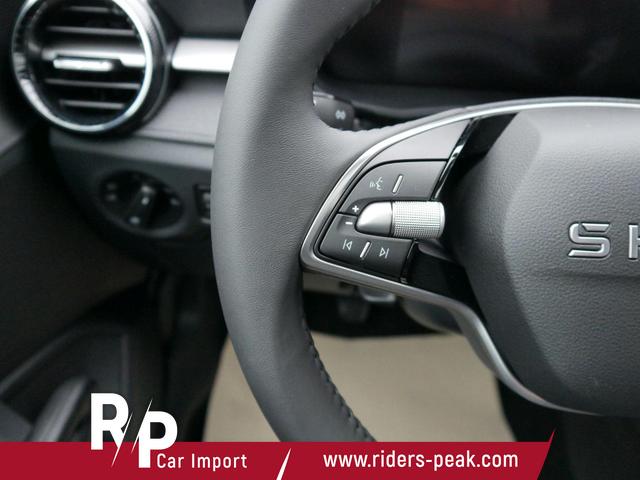 Skoda Fabia Edition 130 Jahre PREMIUN 1,0 TSI *SMARTLINK*PDC*KAMERA*LED*SHZ* 15 ZOLL 