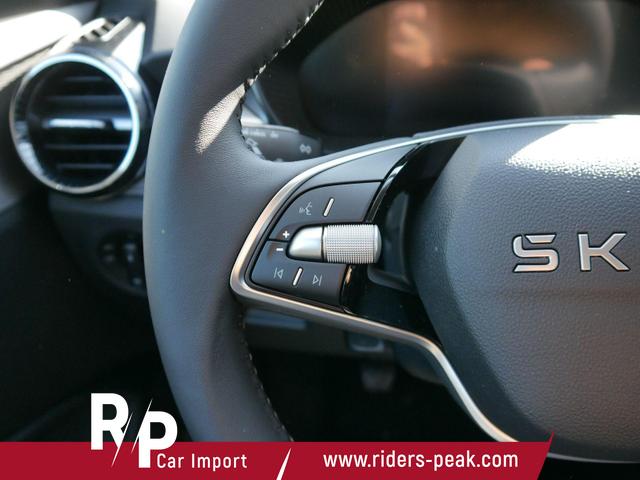 Skoda Fabia Edition 130 Jahre PREMIUN 1,0 TSI *SMARTLINK*PDC*KAMERA*LED*SHZ* 15 ZOLL 