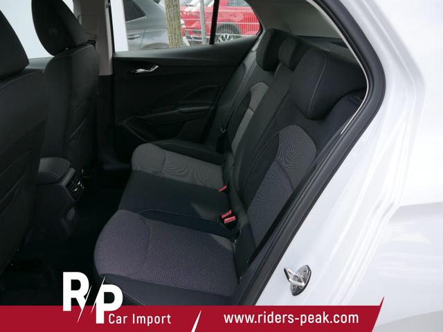 Skoda Fabia PREMIUN EDITION 130 JAHRE 1,0 TSI *SMARTLINK*PDC*KAMERA*LED*SHZ* 15 ZOLL 
