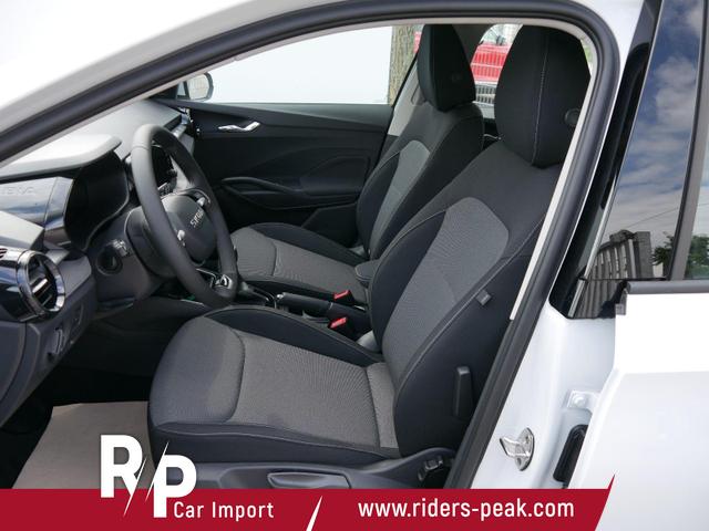 Skoda Fabia PREMIUN EDITION 130 JAHRE 1,0 TSI *SMARTLINK*PDC*KAMERA*LED*SHZ* 15 ZOLL 