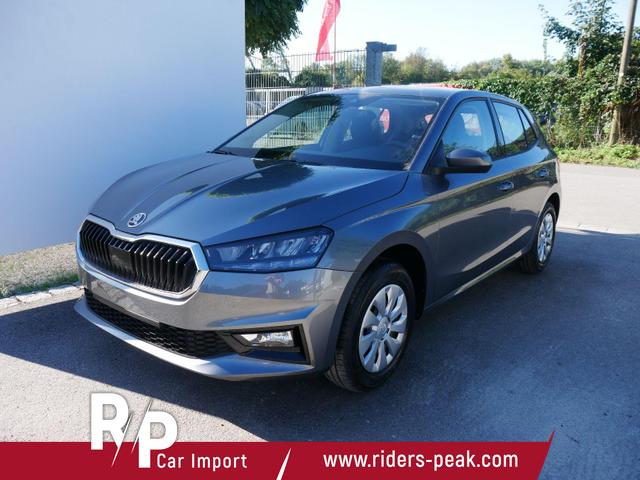 Skoda Fabia - Selection 1.0 TSI *NAVI-ÜBER-SMARTLINK*LED*PDC-HI*SHZ*KLIMA*BLUETOOTH