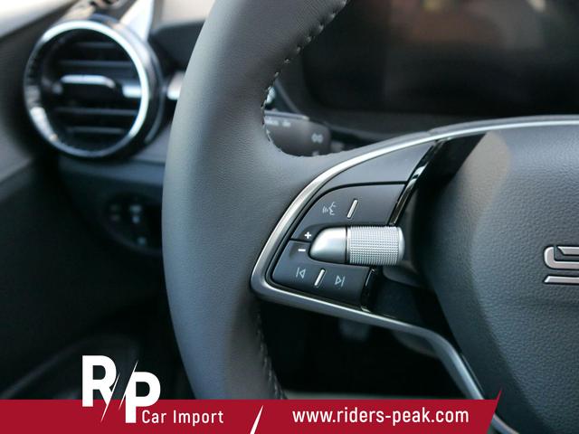 Skoda Fabia Selection 1.0 TSI *NAVI-ÜBER-SMARTLINK*LED*PDC-HI*SHZ*KLIMA*BLUETOOTH 