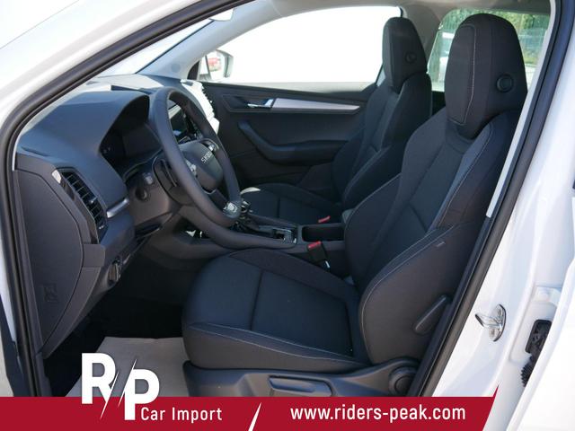 Skoda Karoq Edition Selection 130 Jahre 1,5 TSI DSG*NAVI-ÜBER-SMARTLINK*PDC*KAMERA*LED*SHZ*TEMPOMAT 