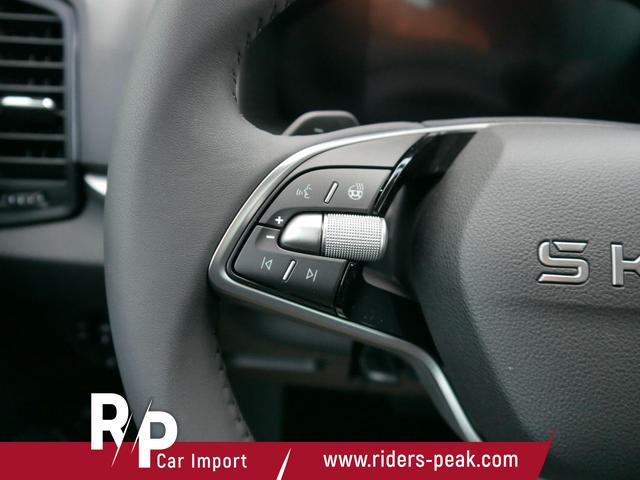 Skoda Karoq Edition Selection 130 Jahre 1,5 TSI DSG*NAVI-&Uuml;BER-SMARTLINK*PDC*KAMERA*LED*SHZ*TEMPOMAT 