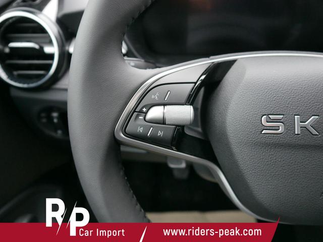 Skoda Fabia Selection 1.0 TSI *NAVI-ÜBER-SMARTLINK*LED*PDC-HI*SHZ*KLIMA*BLUETOOTH 