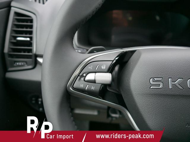 Skoda Karoq Edition Selection 130 Jahre 1,5 TSI DSG*NAVI-ÜBER-SMARTLINK*PDC*KAMERA*LED*SHZ*TEMPOMAT 