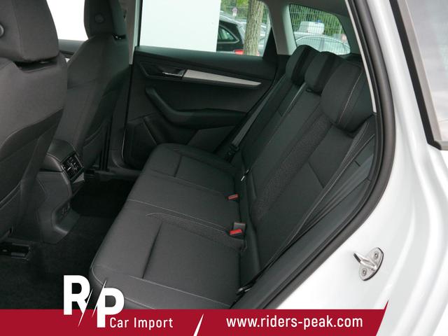 Skoda Karoq Edition Selection 130 Jahre 1,5 TSI DSG*NAVI-ÜBER-SMARTLINK*PDC*KAMERA*LED*SHZ*TEMPOMAT 