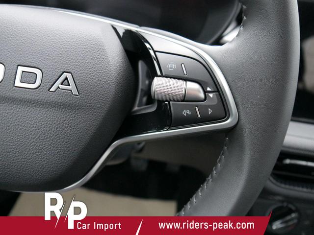 Skoda Fabia Selection 130 Jahre Plus 1,0 TSI*LED*PDC-HI-KAMERA*SMARTLINK*TEMPOMAT*KLIMA*SHZ 