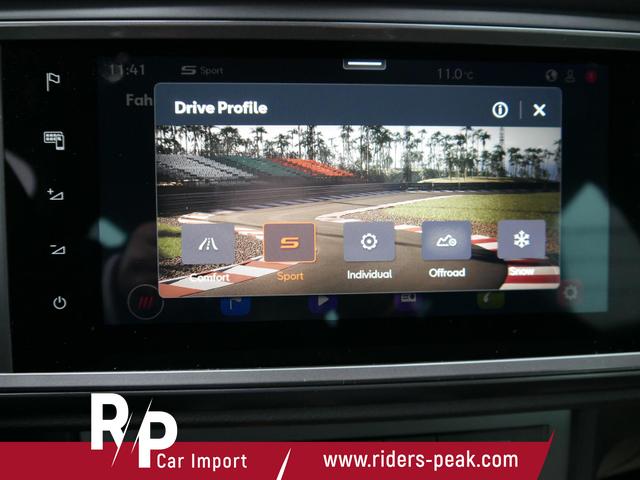 Cupra Ateca 2,0 TSI DSG 4x4*ACC*PDC*KAMERA*NAVI*LED*SHZ*AHK-SCHWENKBAR*19-ZOLL 