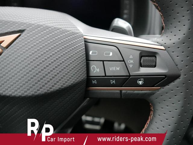 Cupra Ateca 2,0 TSI DSG 4x4*AHK-SCHWENKBAR*NAVI*PDC*KAMERA*ACC*SHZ*LED*TEMPOMAT*19-ZOLL 