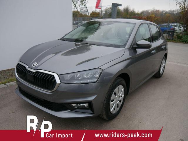 Skoda Fabia - Selection 1.0 TSI DSG*NAVI-ÜBER-SMARTLINK*LED*PDC-HI*SHZ*DAB*KLIMA