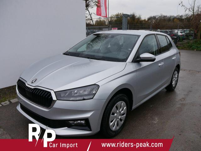 Skoda Fabia - Selection 1.0 TSI DSG*NAVI-&Uuml;BER-SMARTLINK*LED*PDC-HI*SHZ*DAB*KLIMA