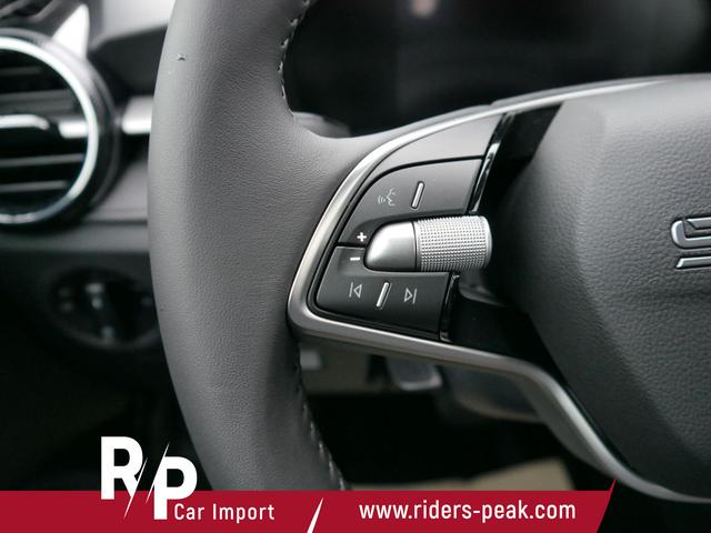 Skoda Fabia Selection 1.0 TSI DSG*NAVI-&Uuml;BER-SMARTLINK*LED*PDC-HI*SHZ*DAB*KLIMA 