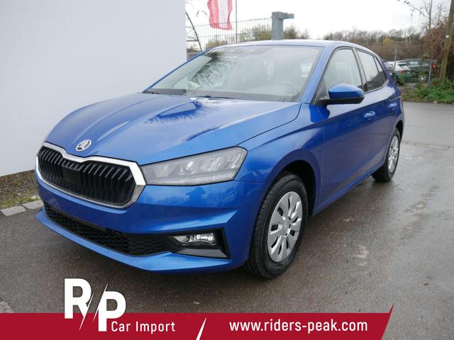 Skoda Fabia - Selection 1.0 TSI DSG*NAVI-&Uuml;BER-SMARTLINK*LED*PDC-HI*SHZ*DAB*KLIMA