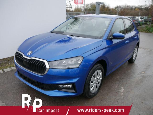 Skoda Fabia - Selection 1.0 TSI DSG*NAVI-&Uuml;BER-SMARTLINK*LED*PDC-HI*SHZ*DAB*KLIMA