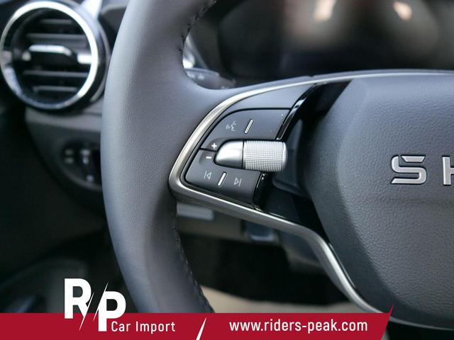 Skoda Fabia Selection 1.0 TSI DSG*NAVI-&Uuml;BER-SMARTLINK*LED*PDC-HI*SHZ*DAB*KLIMA 