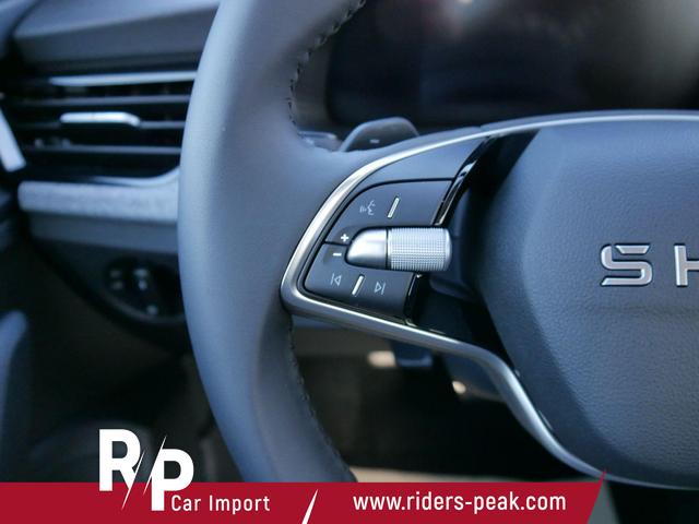 Skoda Scala Selection 1.5 TSI DSG*LED*PDC-HI*TEMPOMAT*SMARTLINK*SHZ*KLIMA*RADIO 