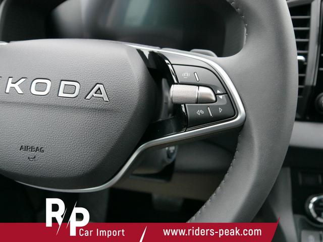 Skoda Karoq Selection 2.0 TDI DSG 4x4*AHK*PDC-HI*LED*SHZ*SMARTLINK*TEMPOMAT 