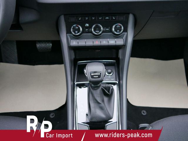 Skoda Karoq Selection 2.0 TDI DSG 4x4*AHK*PDC-HI*LED*SHZ*SMARTLINK*TEMPOMAT 