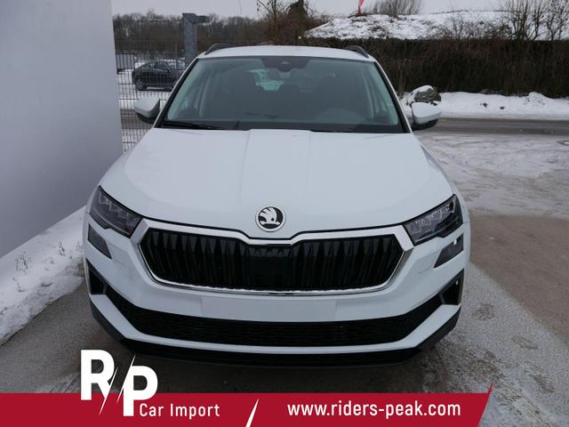 Skoda Karoq Selection 2.0 TDI DSG 4x4*AHK*PDC-HI*LED*SHZ*SMARTLINK*TEMPOMAT 