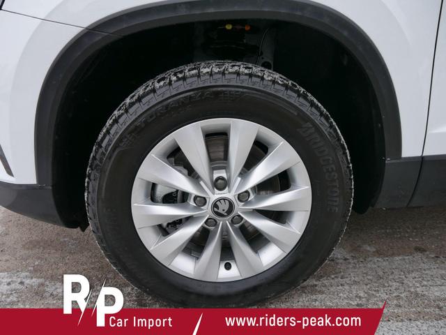 Skoda Karoq Selection 2.0 TDI DSG 4x4*AHK*PDC-HI*LED*SHZ*SMARTLINK*TEMPOMAT 