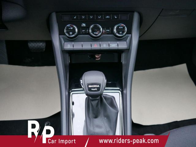 Skoda Karoq Selection 2.0 TDI DSG 4x4*AHK*PDC-HI*LED*SHZ*SMARTLINK*TEMPOMAT 