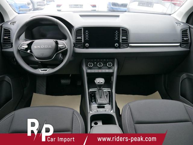 Skoda Karoq Selection 2.0 TDI DSG 4x4*AHK*PDC-HI*LED*SHZ*SMARTLINK*TEMPOMAT 