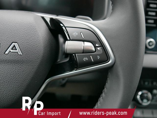 Skoda Karoq Selection 2.0 TDI DSG 4x4*AHK*PDC-HI*LED*SHZ*SMARTLINK*TEMPOMAT 