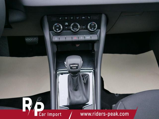 Skoda Karoq Selection 2.0 TDI DSG 4x4*AHK*PDC-HI*LED*SHZ*SMARTLINK*TEMPOMAT 