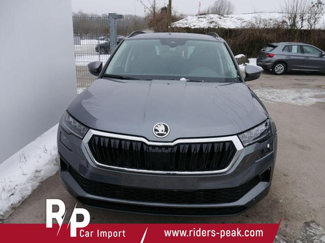 Skoda Karoq Selection 2.0 TDI DSG 4x4*AHK*PDC-HI*LED*SHZ*SMARTLINK*TEMPOMAT 