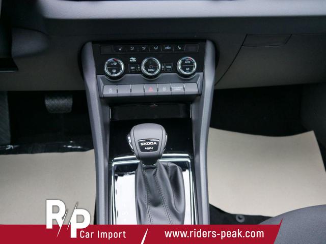 Skoda Karoq Selection 2.0 TDI DSG 4x4*AHK*PDC-HI*LED*SHZ*SMARTLINK*TEMPOMAT 