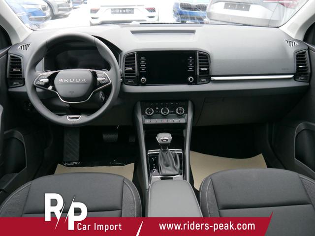 Skoda Karoq Selection 2.0 TDI DSG 4x4*AHK*PDC-HI*LED*SHZ*SMARTLINK*TEMPOMAT 