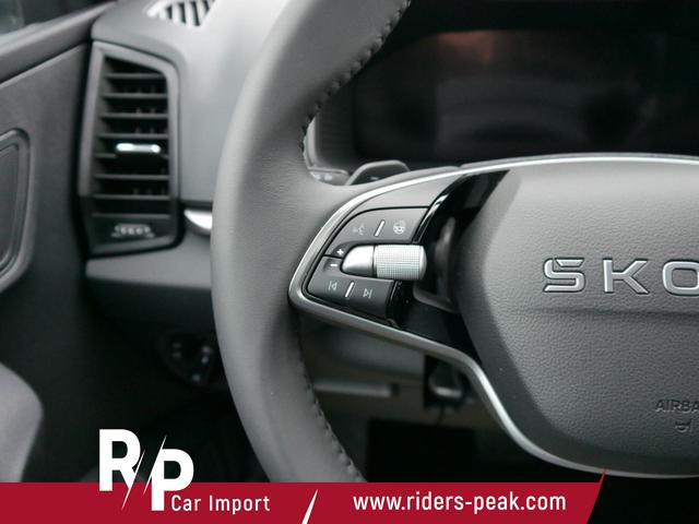 Skoda Karoq Selection 2.0 TDI DSG 4x4*AHK*PDC-HI*LED*SHZ*SMARTLINK*TEMPOMAT 