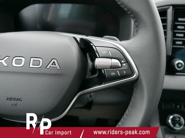 Skoda Karoq Selection 2.0 TDI DSG 4x4*AHK*PDC-HI*LED*SHZ*SMARTLINK*TEMPOMAT 