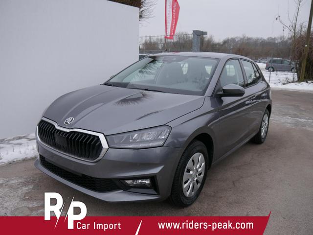 Skoda Fabia - Selection 1.0 TSI DSG*NAVI-&Uuml;BER-SMARTLINK*LED*PDC-HI*SHZ*DAB*KLIMA