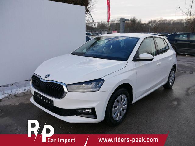 Skoda Fabia Selection 1.0 TSI *NAVI-&Uuml;BER-SMARTLINK*PDC-HI*LED*SHZ*KLIMA*RADIO 